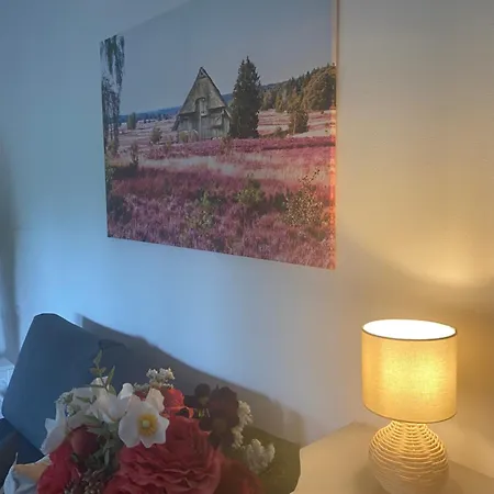 Heidehygge 2 Apartmán Schneverdingen